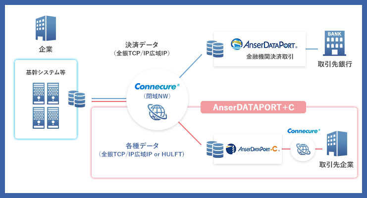 「ANSERDATAPORT+C」の概要図