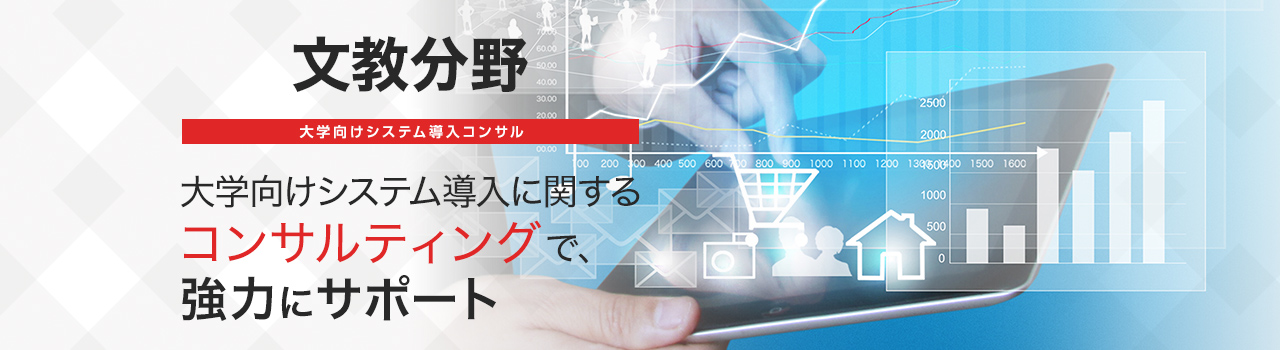 大学向けシステム導入コンサル